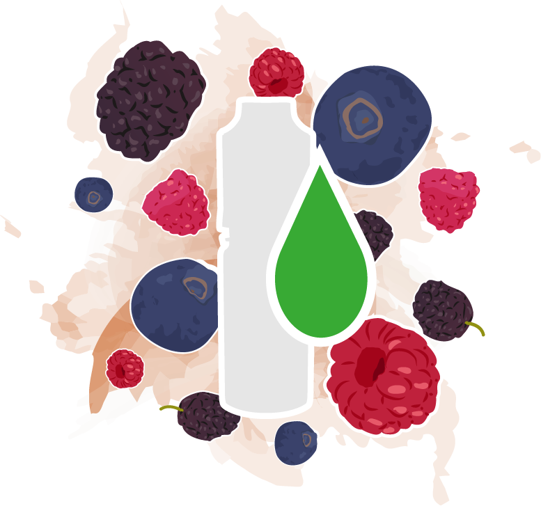 Forest Kiss (Berry Mix) - E-Zigaretten Liquid - 0 mg Nikotin